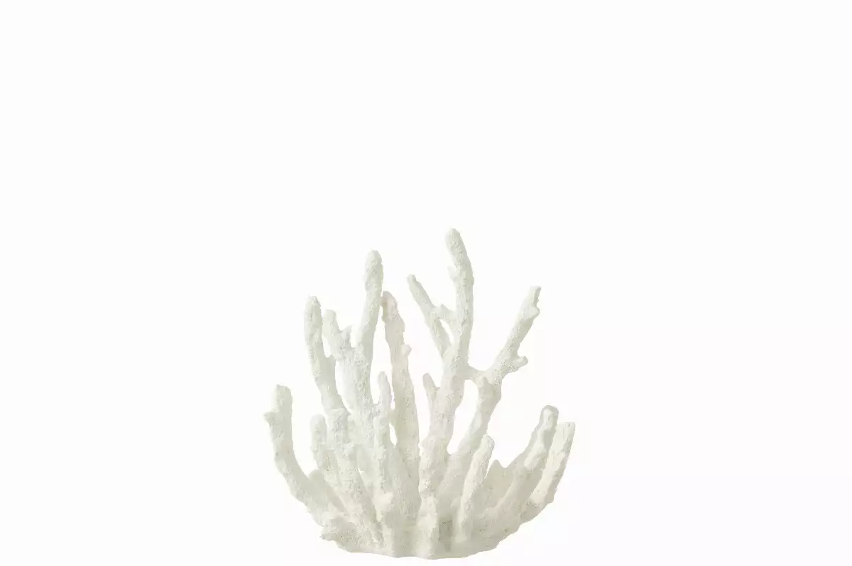 Corail Poly Blanc
